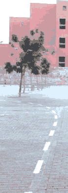 Imatge aleatòria 0 width=